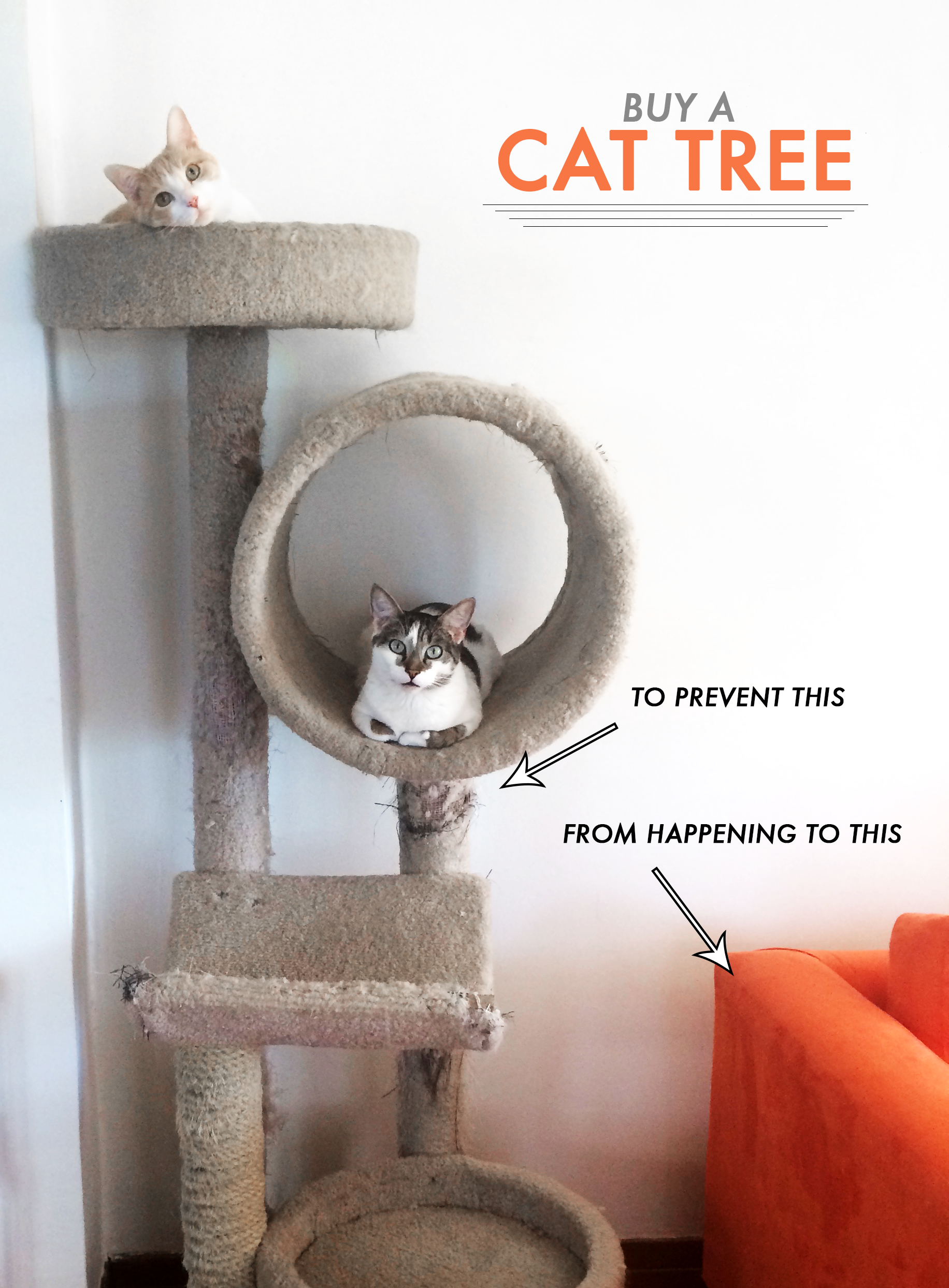 CATTREE